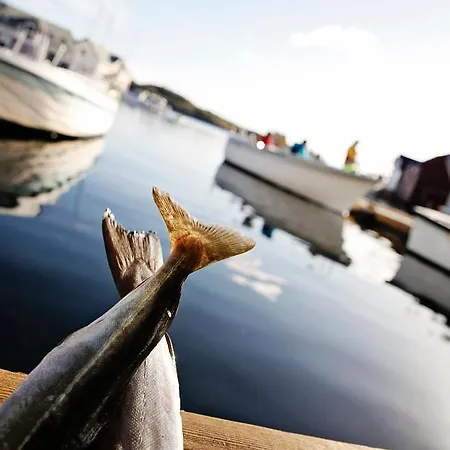 Prázdninový dům Marthas Rorbu