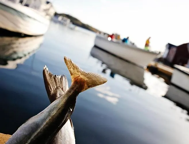 Hébergement de vacances Marthas Rorbu